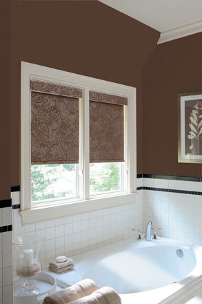 San Antonio roller shades small